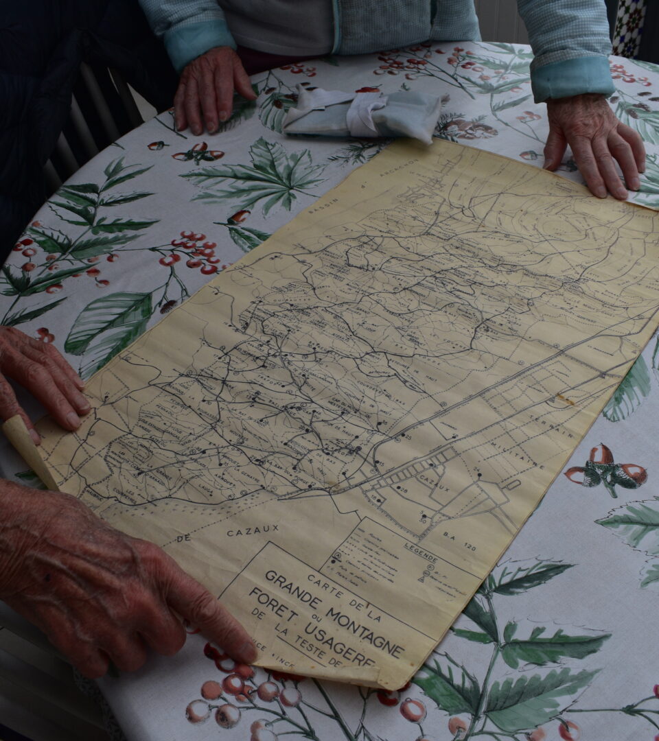 Les délimitations actuelles de la forêt usagère, surnommée « La Montagne ».