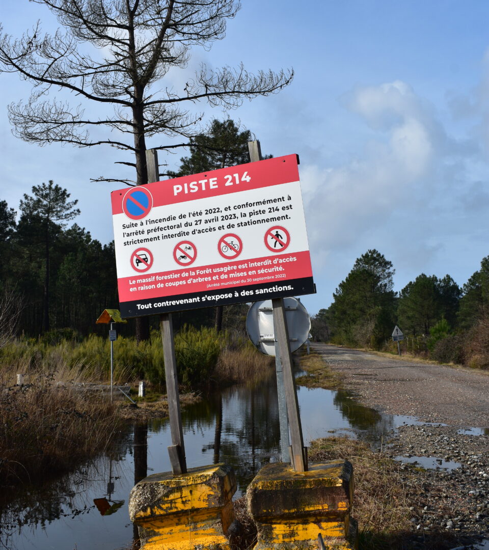 La piste 214, route qui traverse la forêt usagère. C’est d’ici qu’est parti l’incendie en juillet 2022.