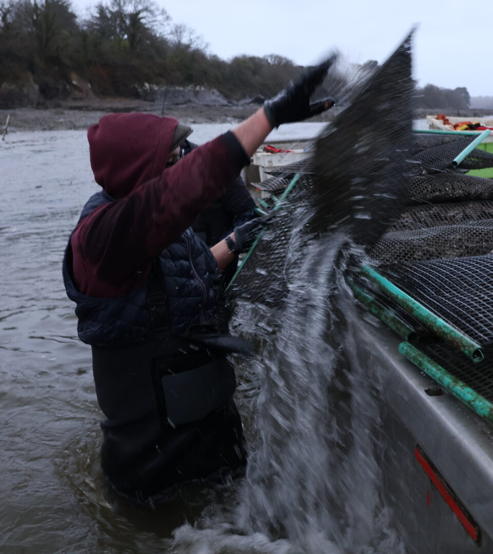 Chaque poche à huîtres pèse une dizaine de kilos. Pas de quoi ralentir Melvin qui en a ramassé une trentaine ce matin.