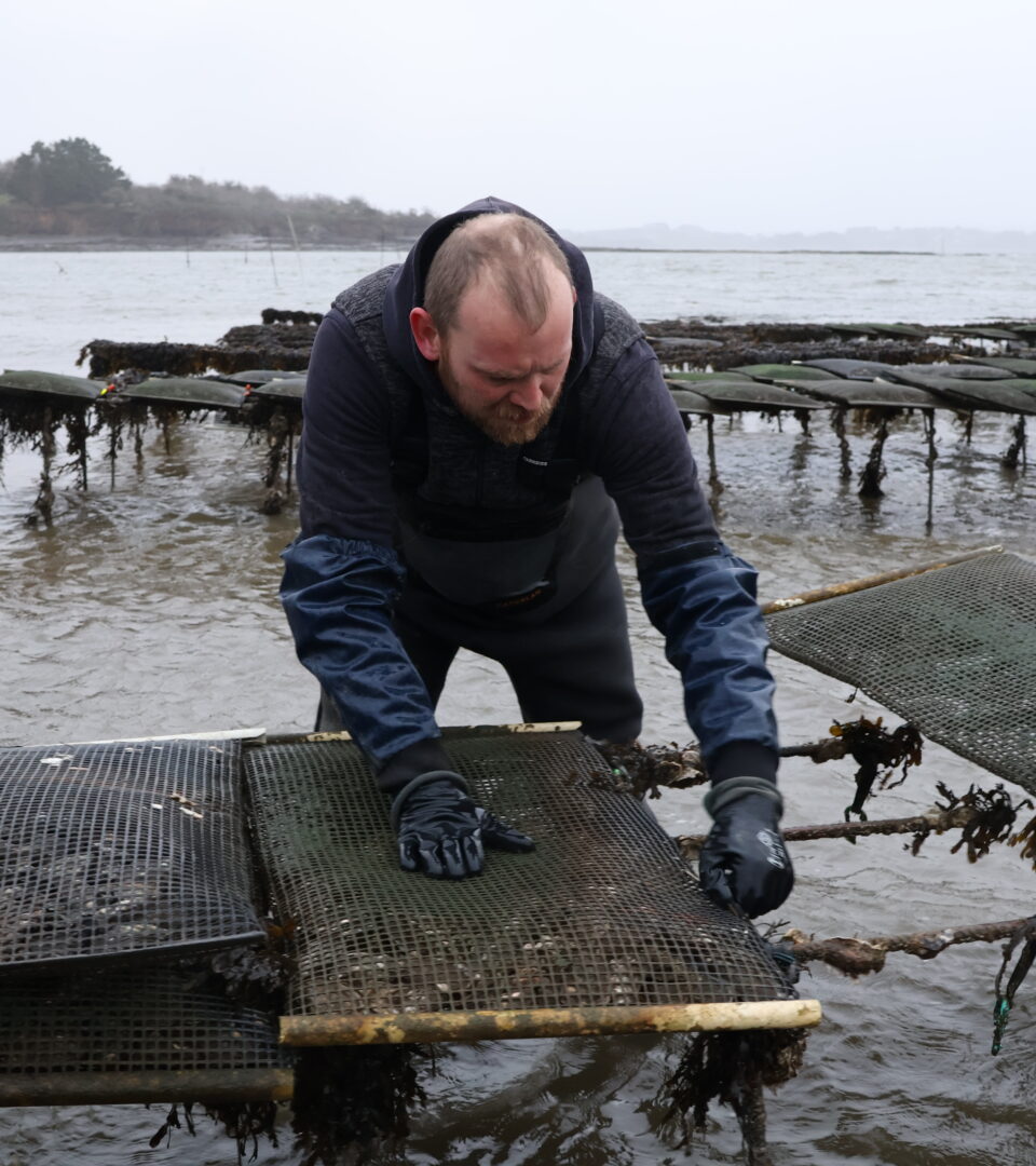 Pour éviter qu’elles s’échappent au gré des marrés, chaque poche à huîtres est attachée à une table ostréicole.